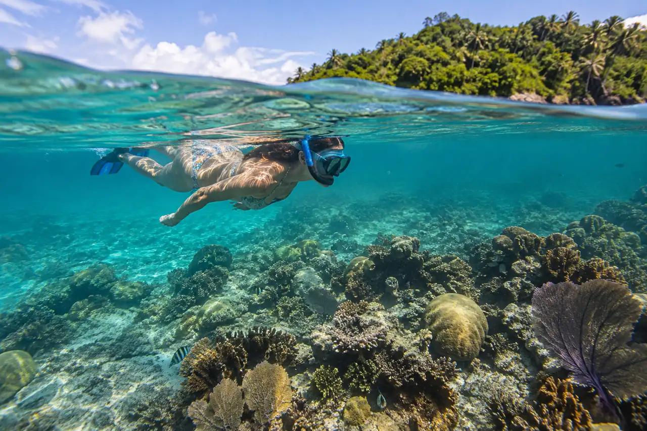 Illustrative Snorkeling & Diving experience